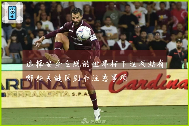 选择安全合规的世界杯下注网站有哪些关键区别和注意事项
