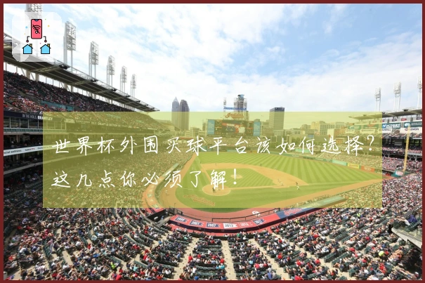 世界杯外围买球平台该如何选择？这几点你必须了解！