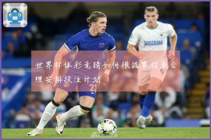 世界杯体彩竞猜如何根据赛程表合理安排投注计划
