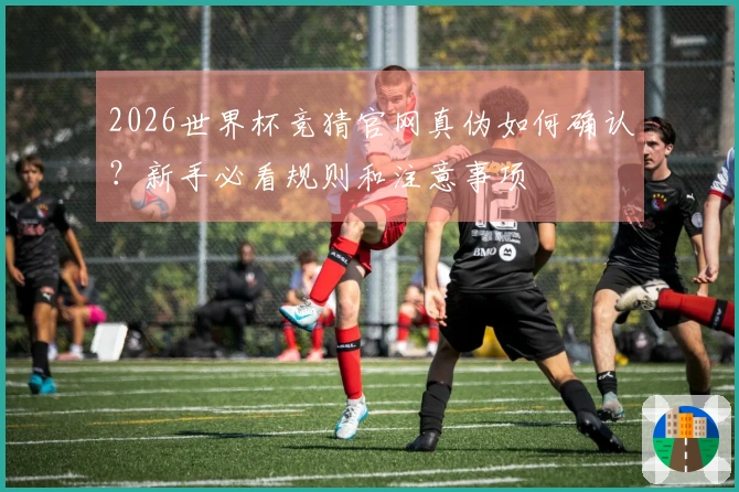 2026世界杯竞猜官网真伪如何确认？新手必看规则和注意事项