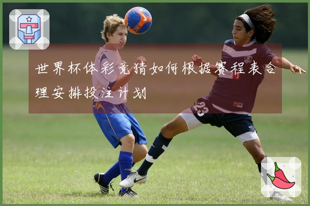 世界杯体彩竞猜如何根据赛程表合理安排投注计划