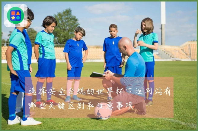 选择安全合规的世界杯下注网站有哪些关键区别和注意事项